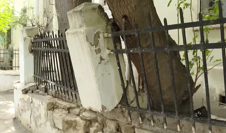 Накренившееся дерево создает угрозу для жителей бакинского поселка