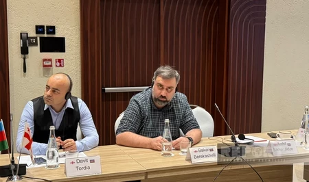 Профессор: Азербайджан и Грузия должны продолжать работу против внешнего влияния