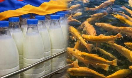 Россия сохраняет запрет на ввоз рыбной и молочной продукции из Армении