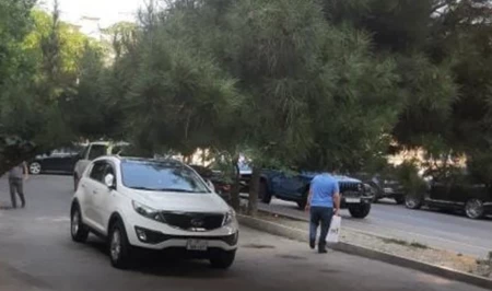 Жители Баку бьют тревогу из-за накренившегося дерева на оживленном перекрестке