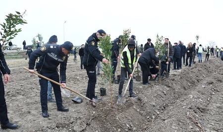 В Сабирабаде прошла акция по посадке деревьев