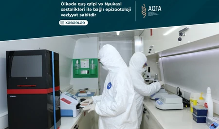 Агентство продбезопасности Азербайджана подвело итоги мониторинга по птичьему гриппу
