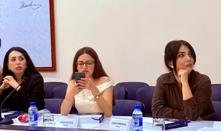 Институт права и прав человека и Агентство MEDİA провели сессию о правах человека для журналистов