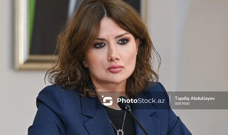 Ульвия Зульфигар: Подход Азербайджана к миру на Южном Кавказе стал международно признанной моделью