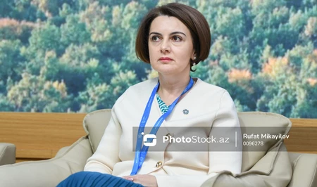 Рена Гумбатова: К концу 2026 года в Азербайджане введут в эксплуатацию 4 новые электростанции
