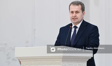 В Азербайджане расширят производство ягод - замминистра