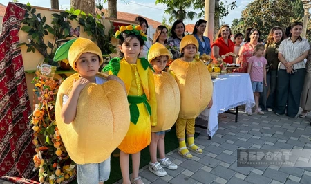 В Самухе стартовали Фестиваль абрикоса и Аграрный бизнес-фестиваль