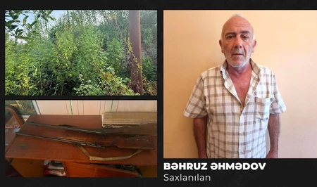 Житель Гёйчая арестован за выращивание наркотикосодержащих растений и хранение оружия