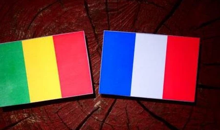 Власти Мали обвинили французские СМИ в дезинформации с использованием ИИ