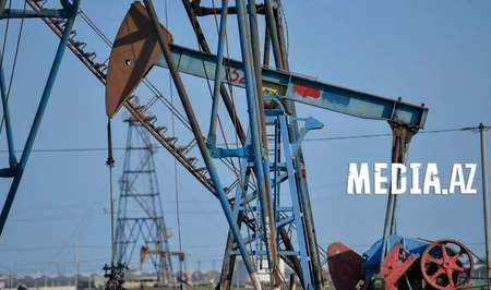 Импорт азербайджанской нефти в Чехию вырос почти на 5%