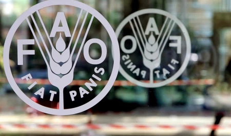 FAO помогает Азербайджану вывести контроль качества семян на международный уровень