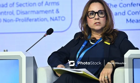 Представитель НАТО: Мы рассматриваем возможности дополнительной поддержки деятельности ANAMA