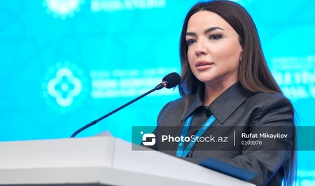Айгюн Алиева: Устойчивое городское развитие невозможно без участия гражданского общества