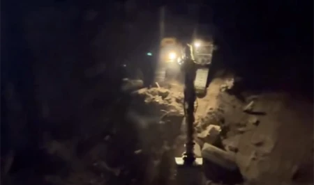 Дело о незаконной вырубке дерева в Баку передадут в Генпрокуратуру