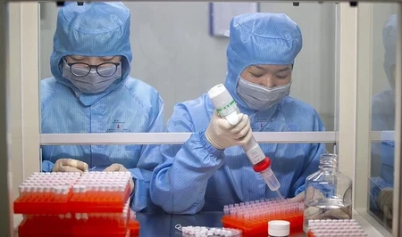 Белый дом представил данные о лабораторном происхождении COVID-19