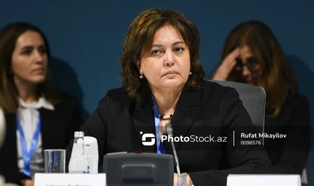 Умайра Тагиева: Экологическая стратегия Азербайджана до 2030 года обретет форму