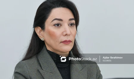 Омбудсмен Азербайджана раскритиковала заявление Amnesty International по делу Варданяна