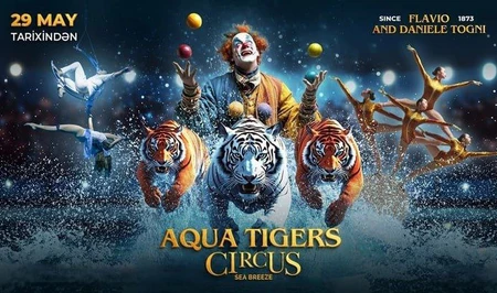 Aqua Tigers Circus: Новое шоу с тиграми и магией воды стартует в Баку