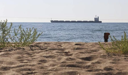 Минобороны РФ сообщило о поражении двух морских сухогрузов у побережья Одессы