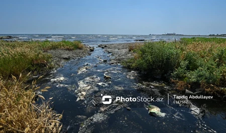 Зловоние вместо морского воздуха: жители Говсана бьют тревогу
