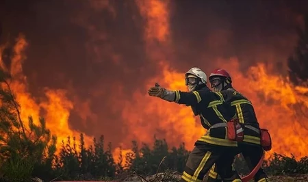 Во Франции из-за лесного пожара эвакуированы около 1000 человек
