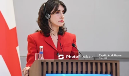 Глава МИД Грузии: Азербайджан является важным партнером для нас