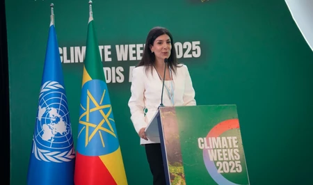 Нигяр Арпадараи о реализации решений COP29 в Эфиопии