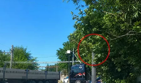 В Баку деревья мешают водителям видеть сигналы светофора