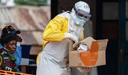 Эбола унесла более 4,3 тысячи жизней в ДРК: летальность достигла почти 50%